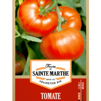 Tomate Reine des Hâtives