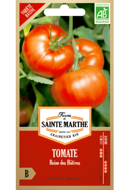 Tomate Reine des Hâtives