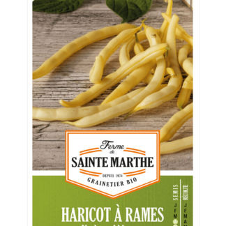 Haricot à rames Neckargold beurre