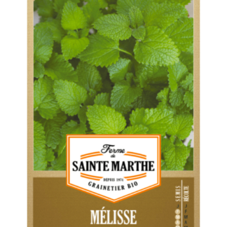 Mélisse Citronnelle