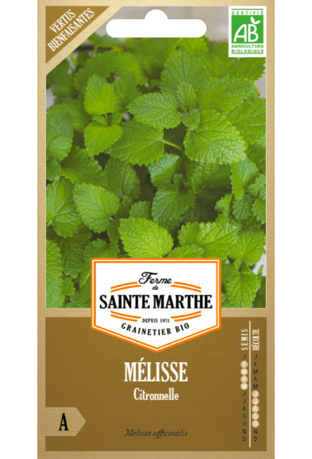 Mélisse Citronnelle