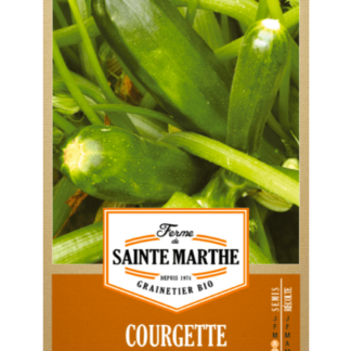 Courgette Verte de Milan