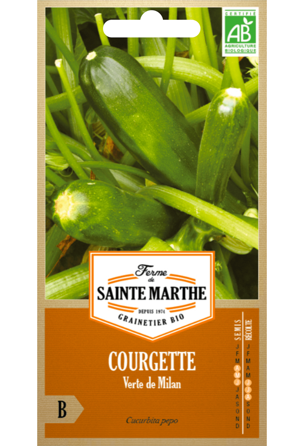 Courgette Verte de Milan