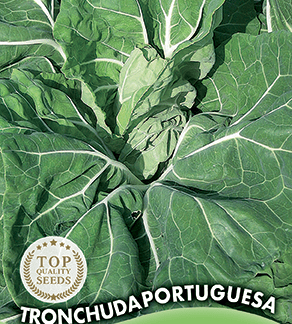 Chou Tronchuda Portuguesa