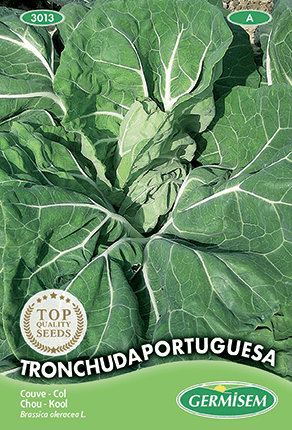 Chou Tronchuda Portuguesa