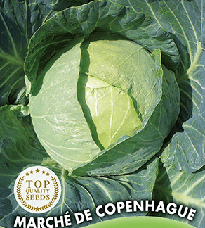 H/G/C/P/ Germisem Chou cabus Marché de Copenhague