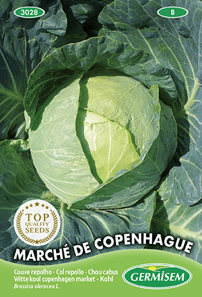 H/G/C/P/ Germisem Chou cabus Marché de Copenhague