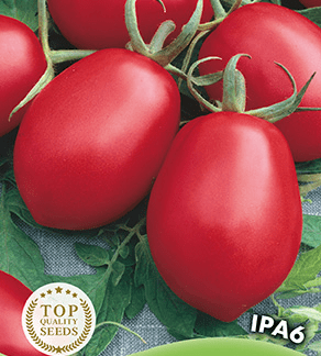 H.G.C.P. Germisem Tomate Ipa6