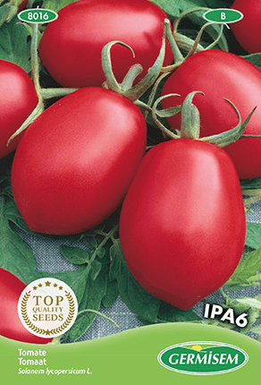 H.G.C.P. Germisem Tomate Ipa6