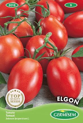 H.G.C.P. Germisem Tomate Elgon