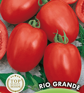 H.G.C.P. Germisem Tomate Rio Grande
