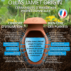 H.G.C.P. Poterie Jamet Ollas Origin Olla Oya