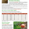 H.G.C.P. Poterie Jamet Ollas Origin Olla Oya