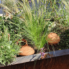 H.G.C.P. Poterie Jamet Ollas Origin Olla Oya