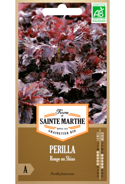 H.G.C.P. La Ferme de Sainte Marthe Perilla rouge (Shiso)