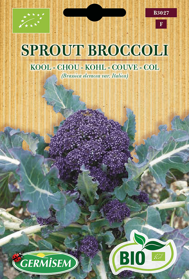 H.G.C.P. Germisem bio Chou Brocoli Purple Sprouting