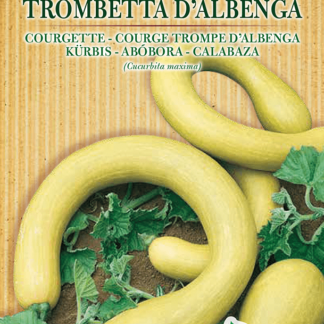 H.G.C.P. Germisem bio Courge Trompe d'Albenga