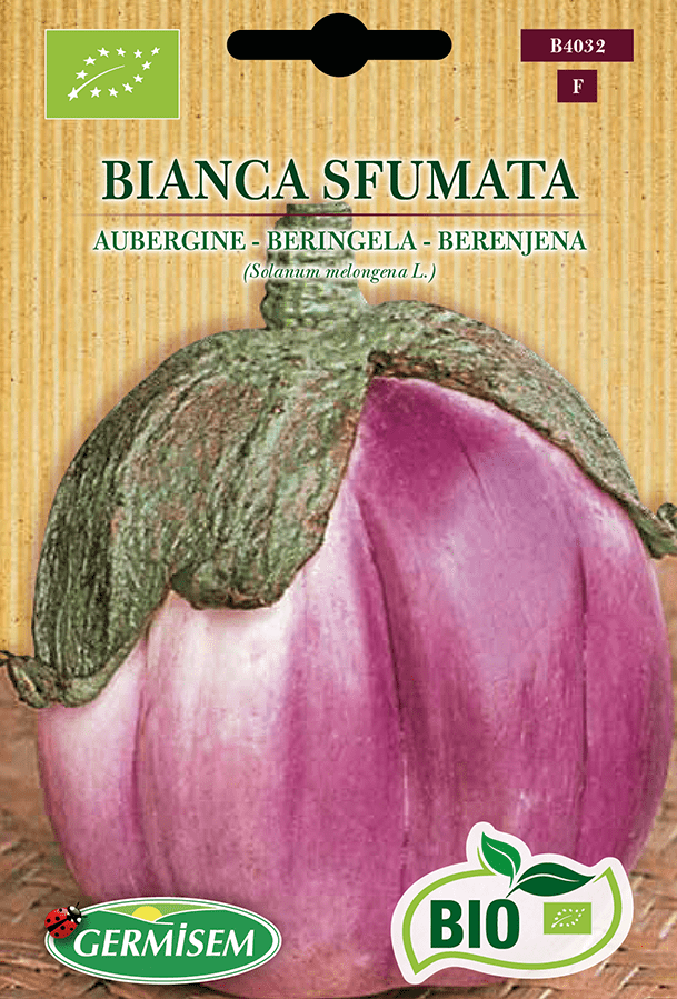 H.G.C.P. Germisem bio Aubergine Bianca Sfumata