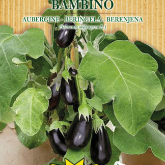 H.G.C.P. Germisem bio Aubergine Bambino