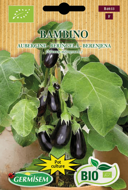 H.G.C.P. Germisem bio Aubergine Bambino