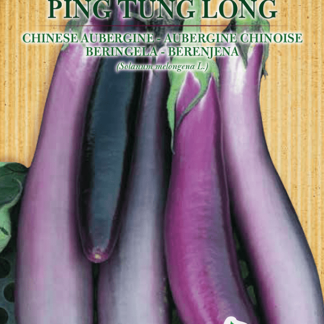 H.G.C.P. Germisem bio Aubergine chinoise Ping Tung Long