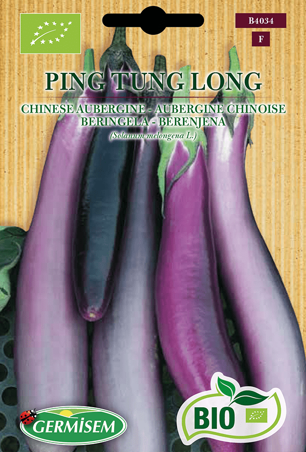 H.G.C.P. Germisem bio Aubergine chinoise Ping Tung Long