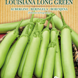 H.G.C.P. Germisem bio Aubergine Louisiana Long Green