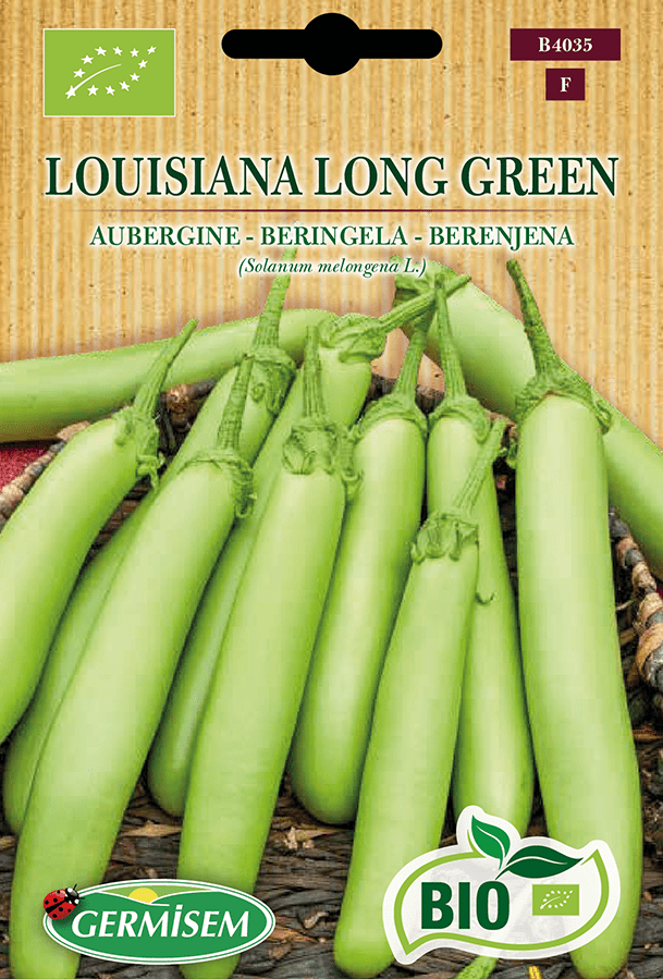 H.G.C.P. Germisem bio Aubergine Louisiana Long Green