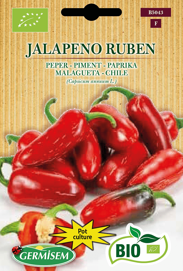 Piment Jalapeno Ruben