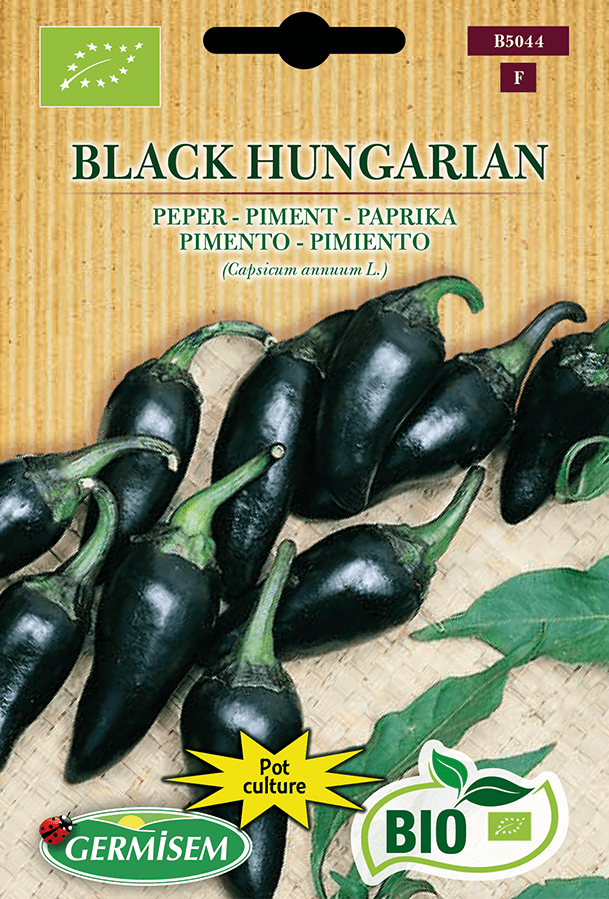 H.G.C.P. Germisem bio Piment noir Black Hungarian