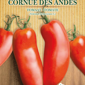 H.G.C.P. Germisem bio Tomate Cornue des Andes