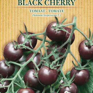 H.G.C.P. Germisem bio Tomate cerise Black Cherry