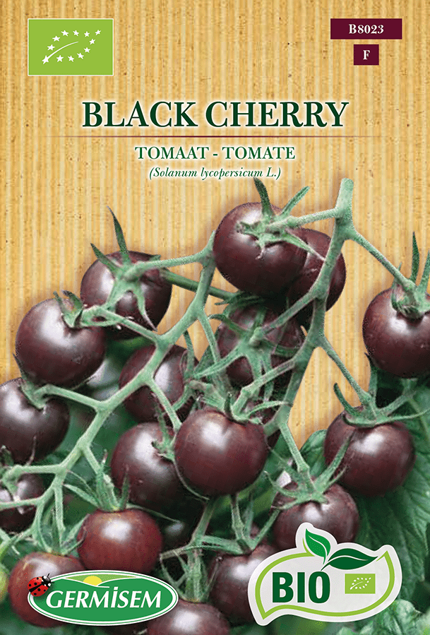 H.G.C.P. Germisem bio Tomate cerise Black Cherry