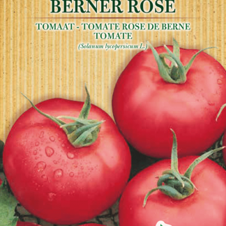 H.G.C.P. Germisem bio Tomate Rose de Berne