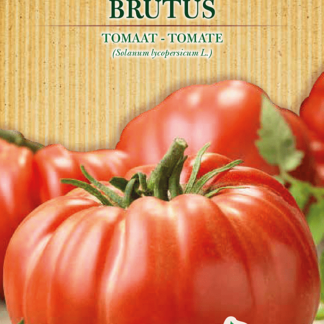 H.G.C.P. Germisem bio Tomate Brutus
