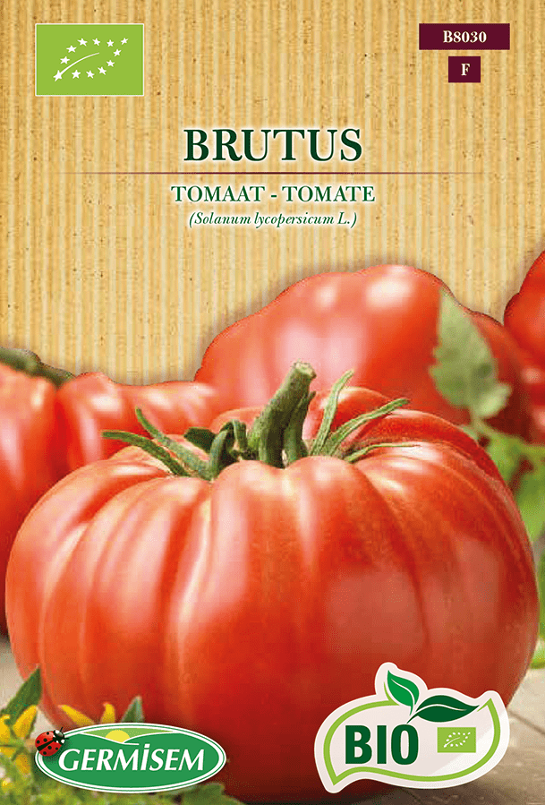 H.G.C.P. Germisem bio Tomate Brutus