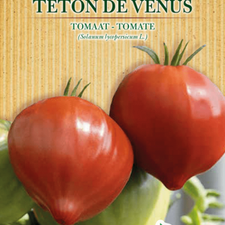 H.G.C.P. Germisem bio Tomate Têton de Venus