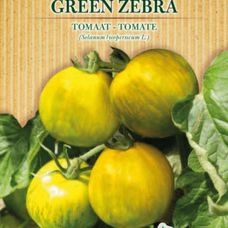 H.G.C.P. Germisem bio Tomate Green Zebra