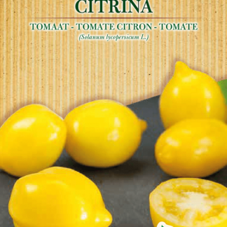 H.G.C.P. Germisem bio Tomate citron Citrina