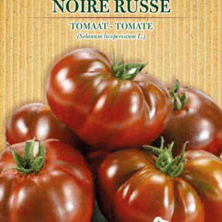 H.G.C.P. Germisem bio Tomate Noire Russe