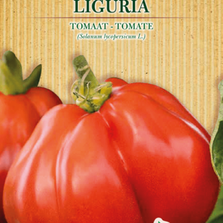 H.G.C.P. Germisem bio Tomate Liguria
